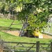 Play area from the bank